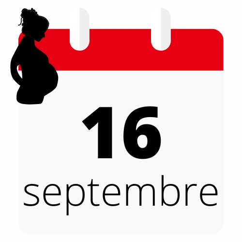 Agenda 16 sep .jpg (Copie de Design Seine et Fôrets - Agenda 16 sep )